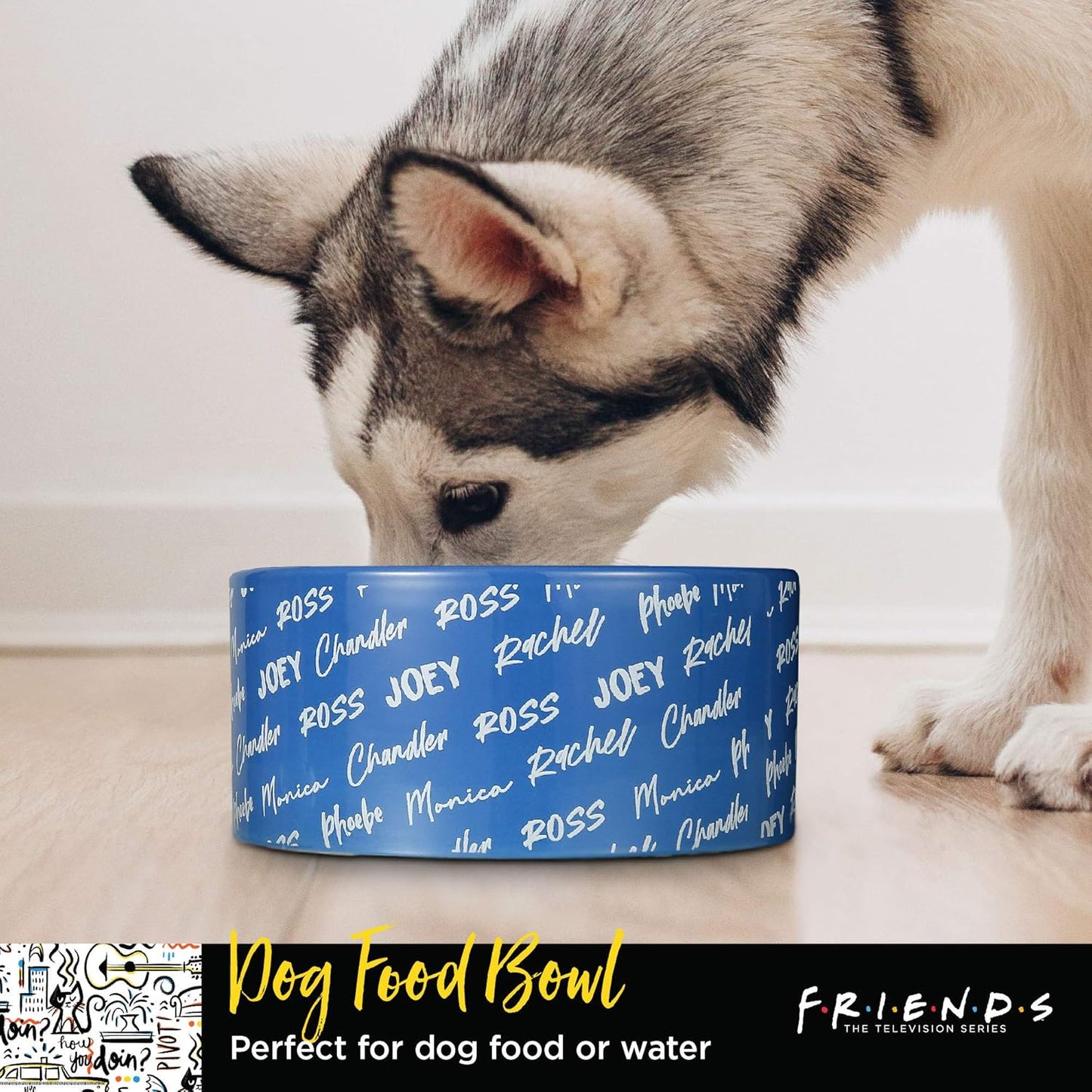 Pet Feeder Ceramic Dog Bowl, 6 in | Blue, Holds 3.5 Cups