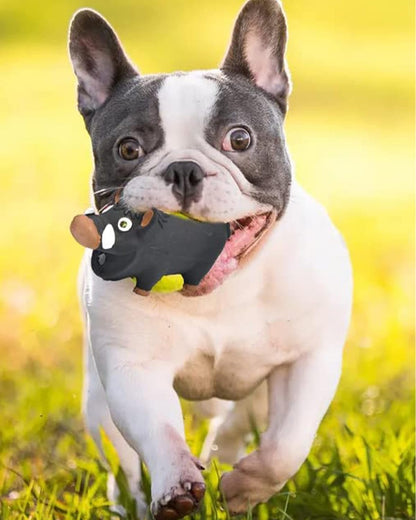 Squeaky Dog Toys for Aggressive Chewers, Dog Toys That Oinks, 2 Pack Latex Pig Dog Toys, Squeaky Chew Toys for Small Medium Large Dogs Small Breed Large Breed Dogs